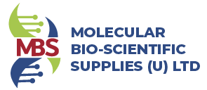 molecular logo
